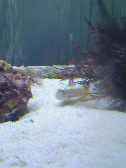 c0108434_2293558.jpg