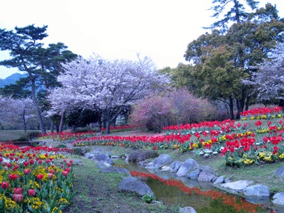 別府公園_c0068639_22224849.gif