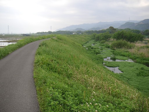 津屋川～白山公園_b0088444_221754100.jpg