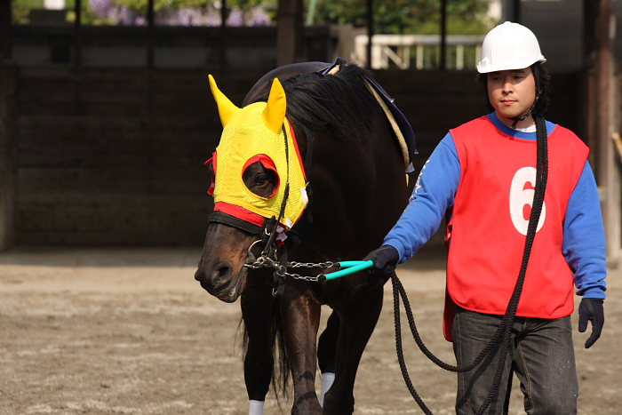 オグリキャップ記念 レース前_a0077663_19273632.jpg