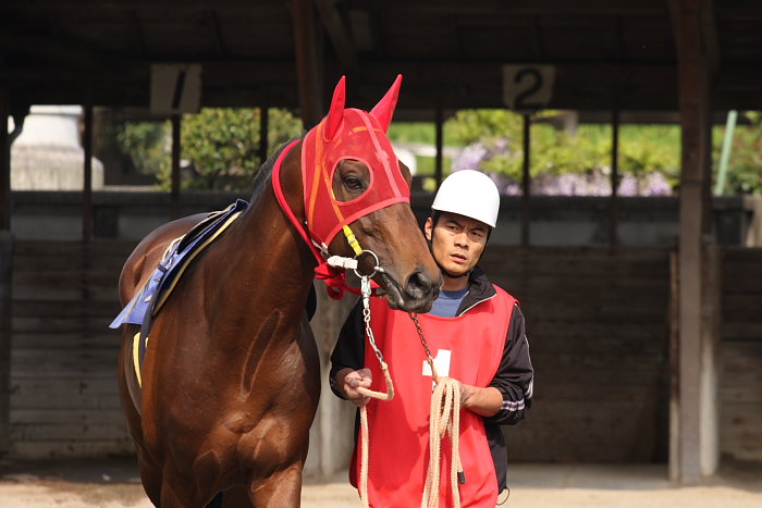 オグリキャップ記念 レース前_a0077663_1927479.jpg