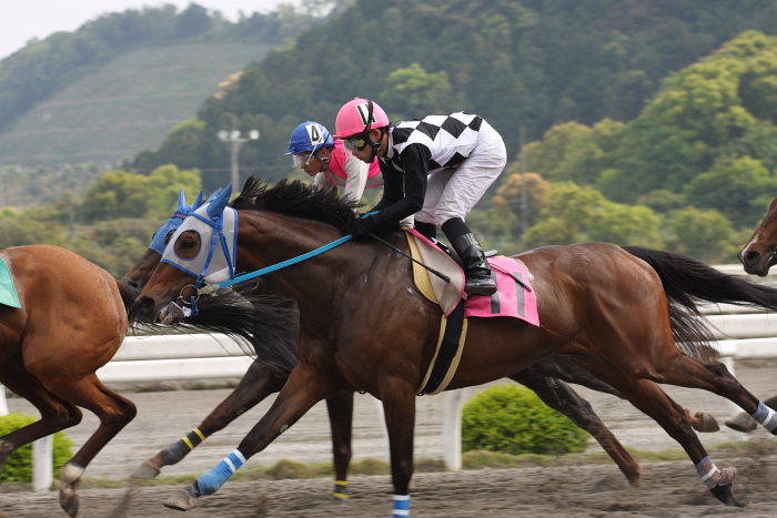 郷間勇太騎手、高知初勝利！！_a0077663_21135344.jpg