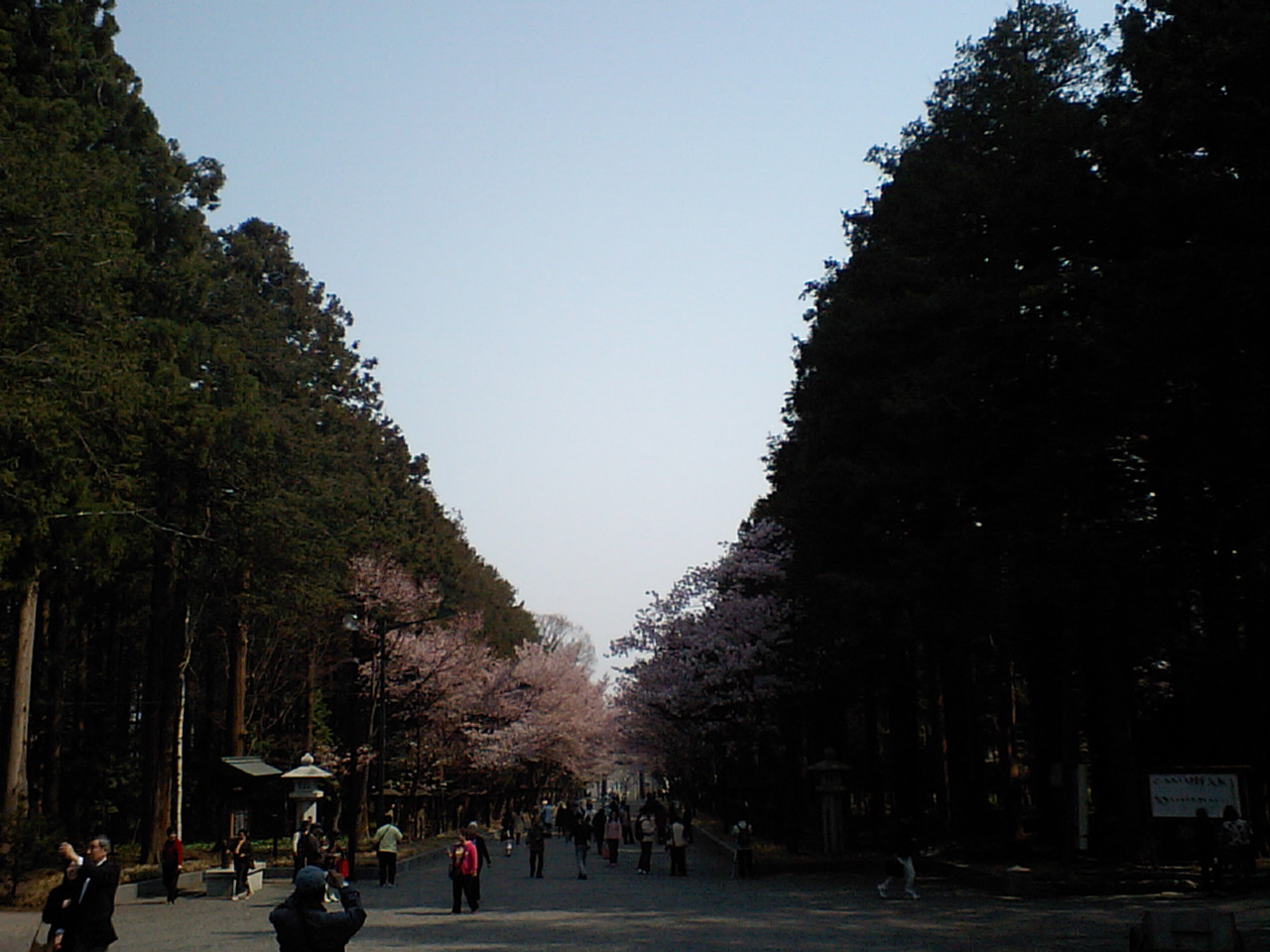 d0098665_19855.jpg