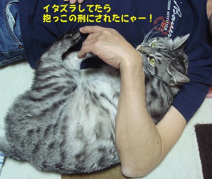 a0039366_0215052.jpg