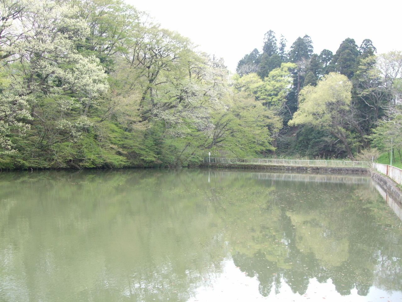 f0100593_15332173.jpg