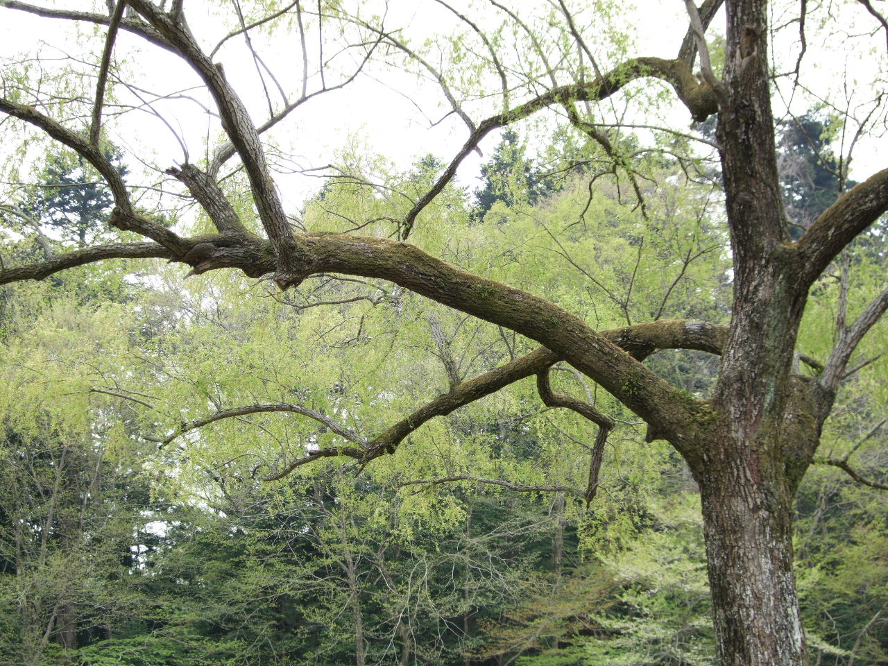f0100593_15415372.jpg