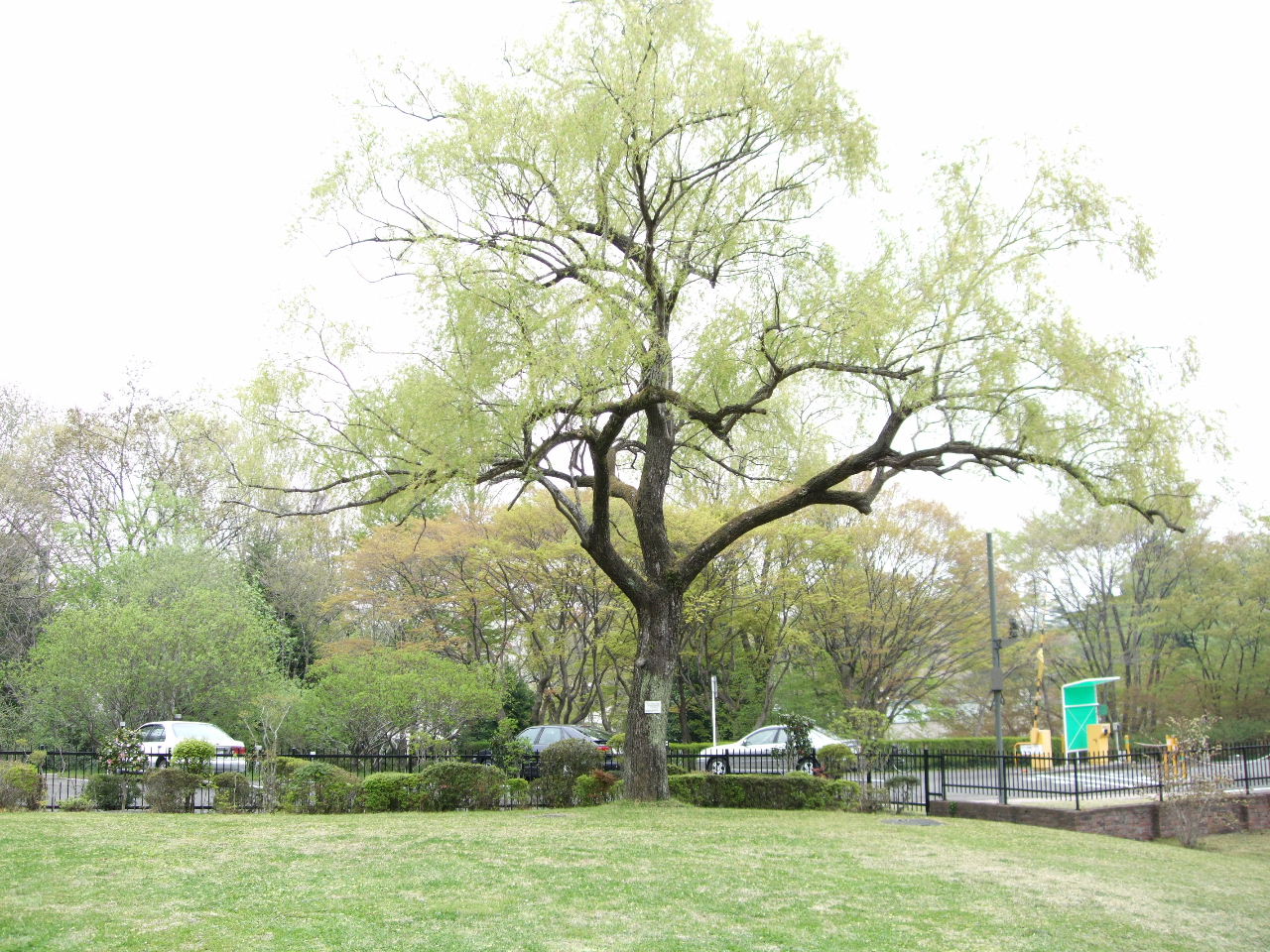 f0100593_15421060.jpg
