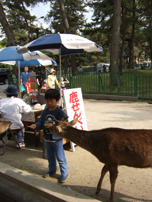 c0069903_8134459.jpg