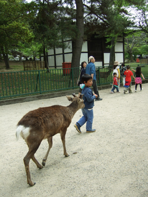 c0069903_8142076.jpg