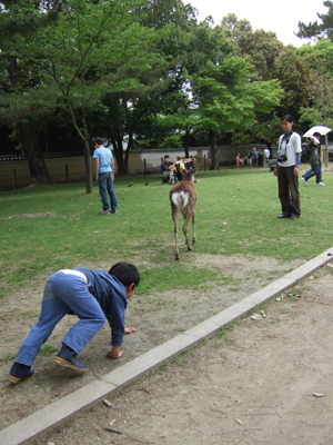c0069903_816275.jpg
