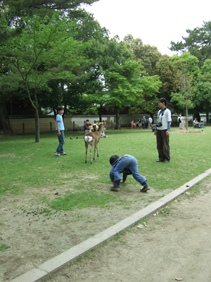 c0069903_8193687.jpg