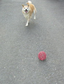 e0131506_23362854.jpg
