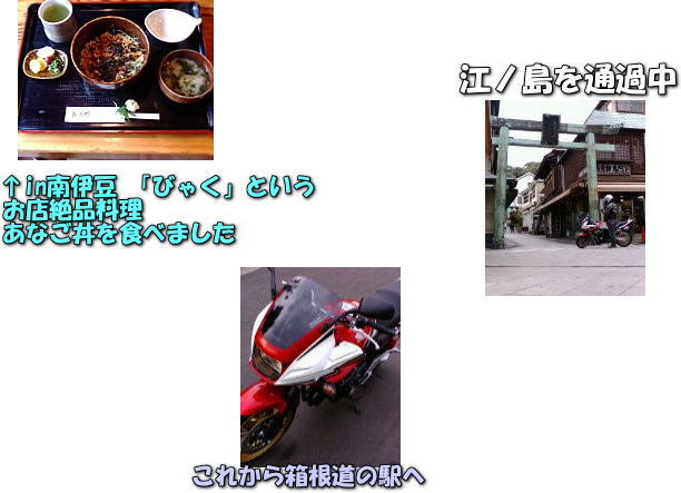 投稿 K.Iさん伊豆旅行パート2_d0070316_1356332.jpg