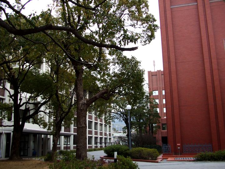 「龍谷大学・深草キャンパス」_d0133024_11554283.jpg