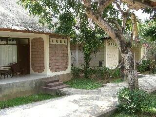 d0133225_22911.jpg
