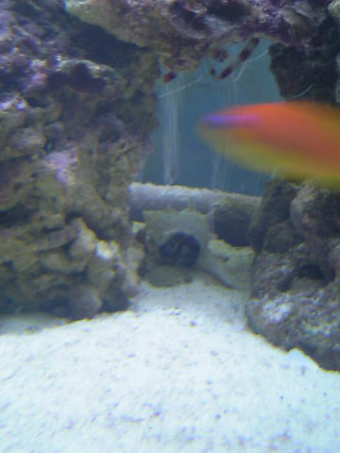 c0108434_17455970.jpg
