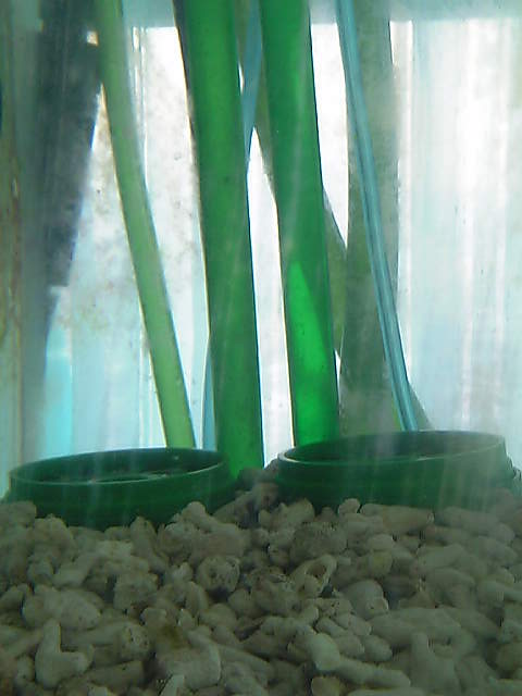 c0108434_17511844.jpg