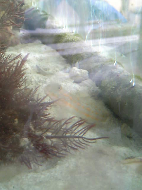c0108434_18172451.jpg