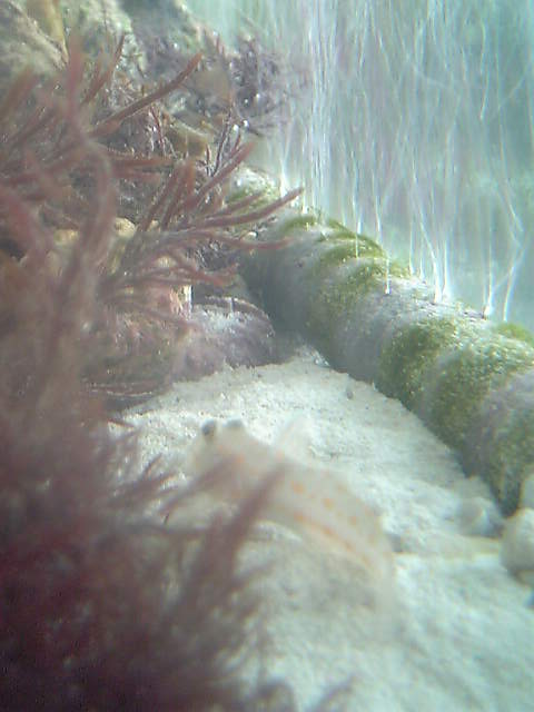c0108434_1820894.jpg