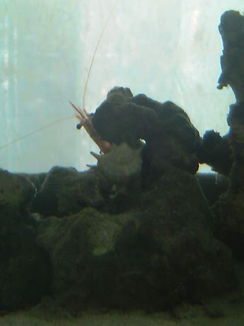 c0108434_18275111.jpg