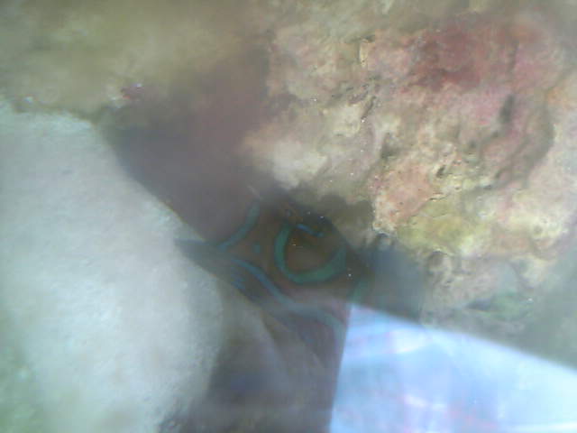 c0108434_18314480.jpg