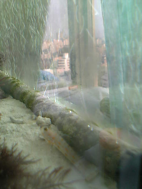 c0108434_18323460.jpg