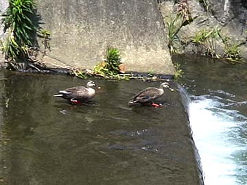 b0072947_2154934.jpg