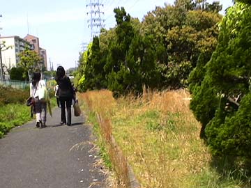 b0072947_222044.jpg