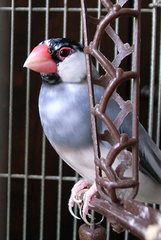 ゆっくり週末。_d0124248_2305346.jpg