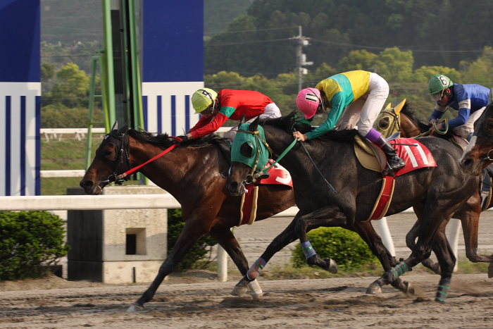 永森大智騎手、今年は頑張るのだぁ～_a0077663_2115512.jpg