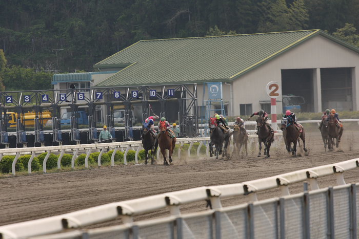 2008年4月26日（土） 高知競馬 7R_a0077663_8185845.jpg