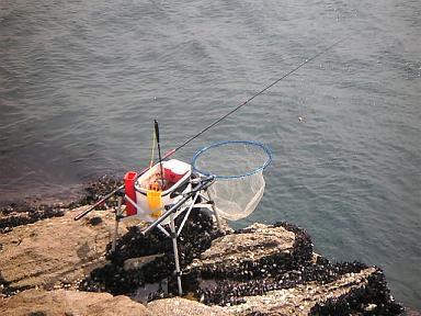 e0108765_16484030.jpg