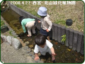 a0052666_23154790.jpg