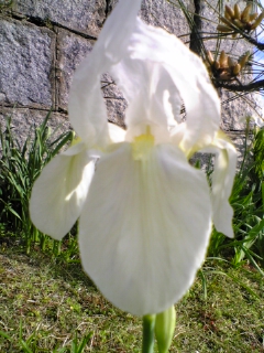 e0046477_19144464.jpg
