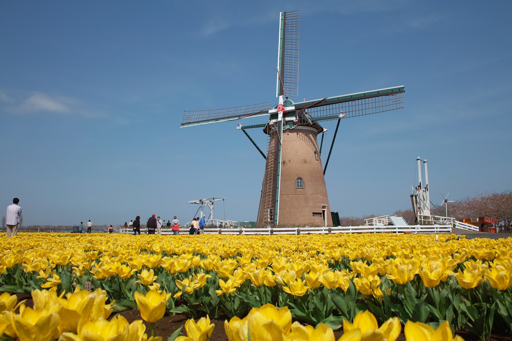 e0071178_81315.jpg