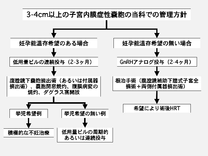 内膜症の治療はどうすれば良い Bl Og Obstetrics And Gynecology