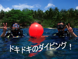 ラチャヤイ島で初体験ダイビング！_f0144385_2142344.jpg