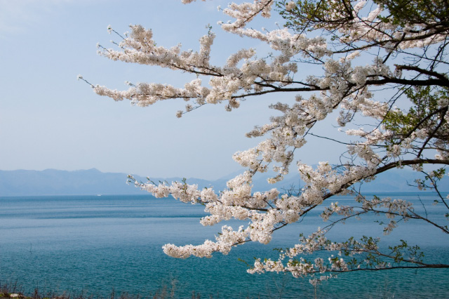 Gw特集 その3 秋田県 仙北市 田沢湖 ニイガタ越後 旬の撮影地