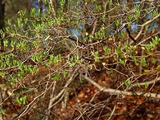 小淵沢へ_e0008887_2241628.jpg