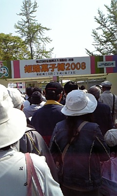 2008　姫路菓子博おすすめコース！_e0117398_19122930.jpg