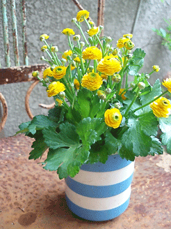 c0129702_23115339.gif