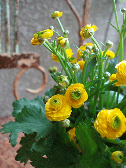 c0129702_23171093.gif