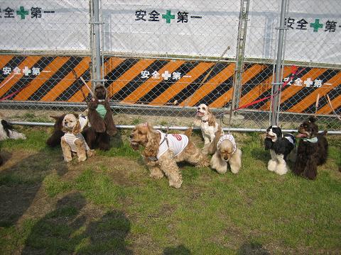 六アイ オフ会~PartⅡ~♪_a0064213_0321.jpg