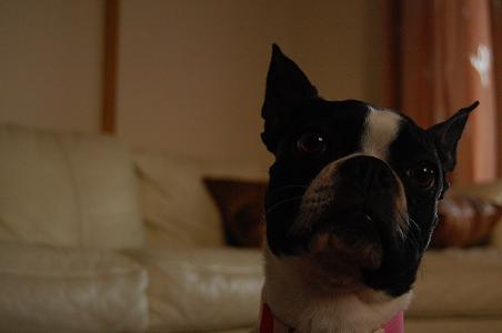 d0078616_05855.jpg