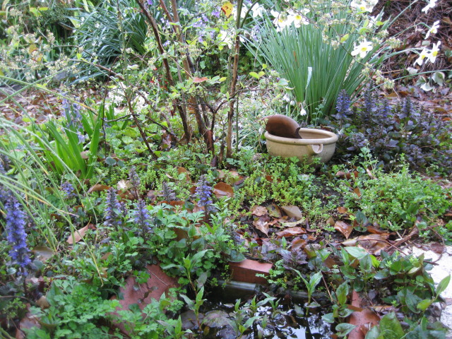 f0128316_2005941.jpg