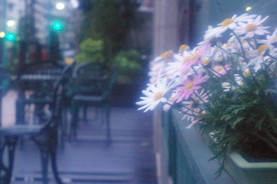 d0006718_1330377.gif