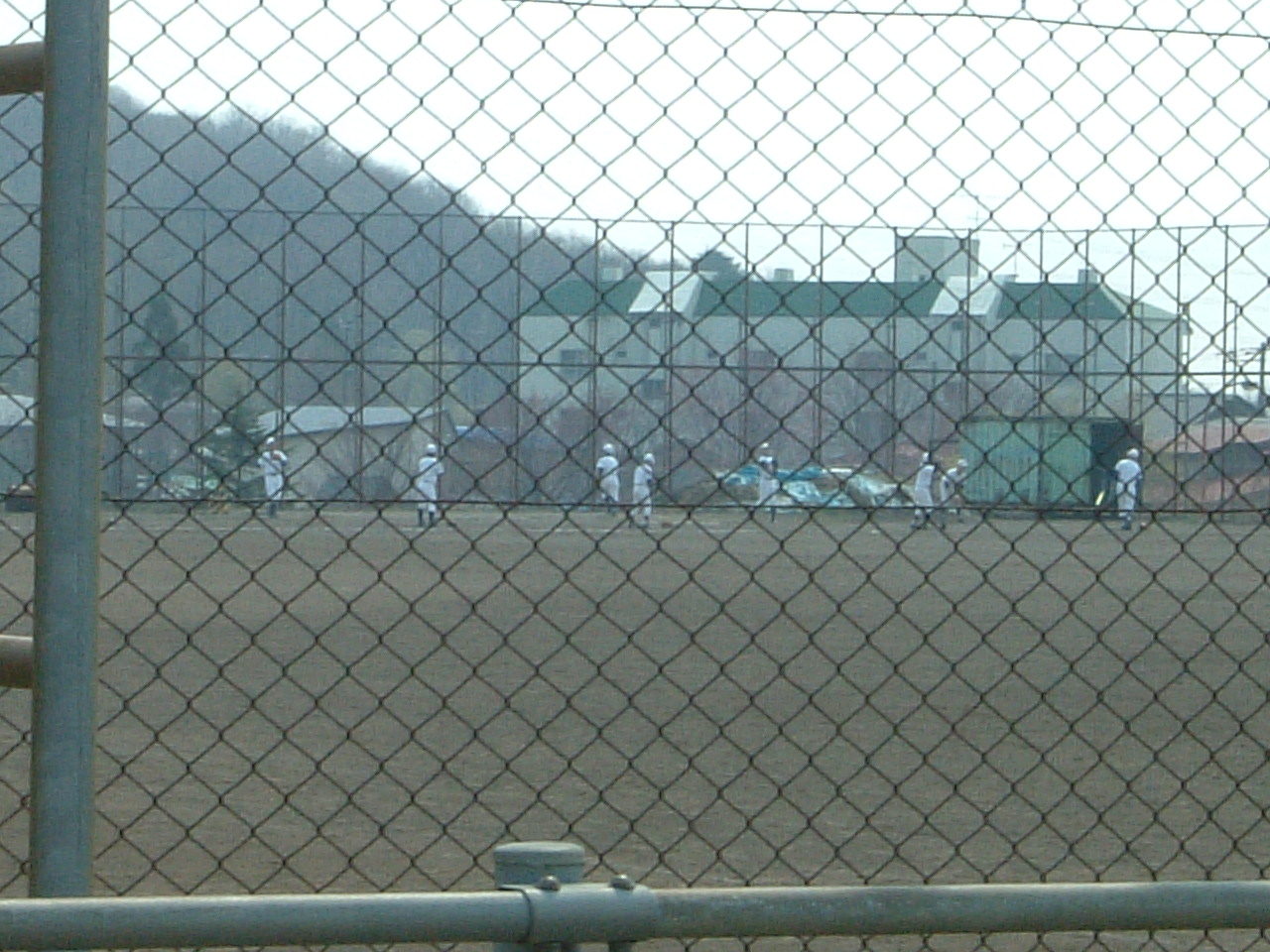 f0147821_126348.jpg