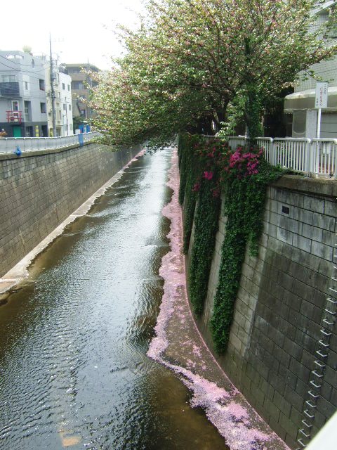 d0086329_20413693.jpg