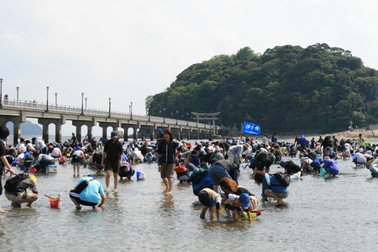 c0123730_10113181.jpg