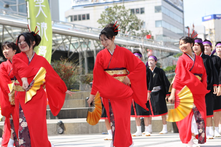 がんこ祭り　16日　キタラ会場_a0095531_23254463.jpg